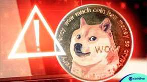 Tắt ví Dogechain: Cảnh báo khẩn cấp từ nhà phát triển chính