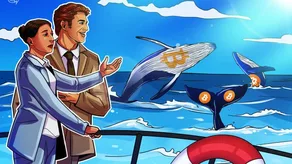Cá voi Bitcoin đang ngủ đông nắm giữ hơn 50 triệu USD BTC thức dậy lần đầu tiên sau 13 năm
