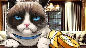 Binance hủy niêm yết bốn token, ALPACA tăng 71% trong khi các token khác giảm mạnh