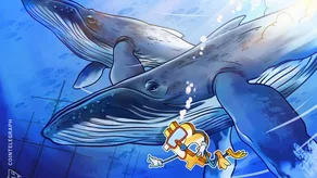 Những “cá voi” Bitcoin mới đang bị thua lỗ, nhưng liệu điều này sẽ kéo dài bao lâu?