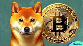Giám đốc điều hành SHIB gửi thông điệp quan trọng về Shiba Inu và Bitcoin tới cộng đồng