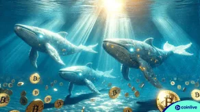 Cá voi Bitcoin kiếm được 1,2 tỷ USD BTC khi giá giảm, thúc đẩy sự phục hồi nhanh chóng
