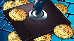 Người nắm giữ Bitcoin lấy lại 5 BTC từ ví bị khóa 11 năm nhờ Claude AI