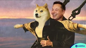 Giá Dogecoin lao dốc 15%, Musk kịp thời đứng lên ủng hộ Dogecoin