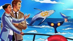 Giao dịch cá voi Bitcoin đạt mức cao nhất trong 4 tháng trong bối cảnh thị trường tiền điện tử suy giảm