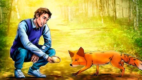 MetaMask ra mắt tính năng hỗ trợ Bitcoin, tiếp tục mở rộng sang nhiều chuỗi khác