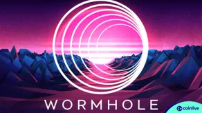 Wormhole trao quyền cho những người nắm giữ token W với các tính năng đặt cược và quản trị
