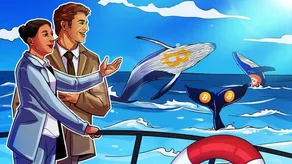 CryptoQuant: Cá voi tiền mã hóa đẩy mạnh tích lũy khi thị trường giá xuống bước vào giai đoạn cuối