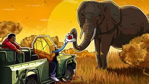 Dữ liệu cho thấy châu Phi ghi nhận mức chênh lệch chuyển đổi stablecoin cao nhất